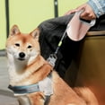 thumbnail image 5 of Deeceymbur Retractable Dog Leash, 16.4ft Dog Walking Leash for Small Dogs, 5 of 5