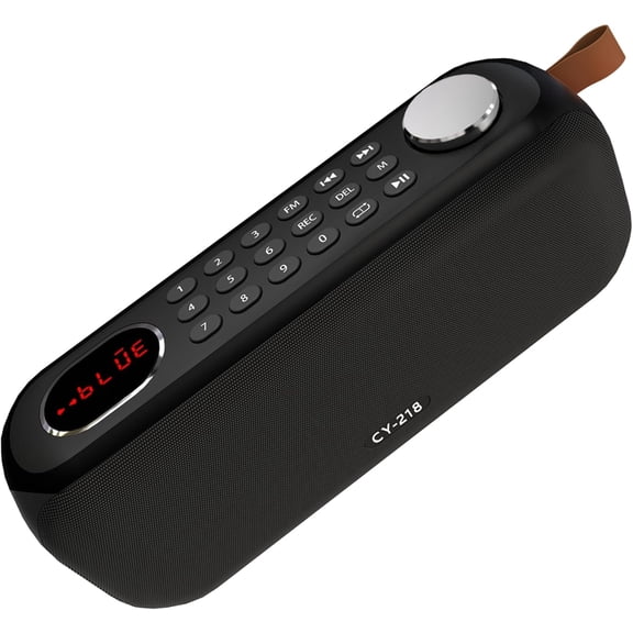 Portable Bluetooth Speaker FM Radio Digital, Support USB/SD Card MP3 Music Player/AUX/REC, Build-in 3000mAh Rechargeable Battery, 10W Powerful Speaker and Earphone Jack for Indoor Outdoor