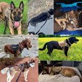 thumbnail image 4 of Large Dog Collar Military Dog Harness And Leash Set Pet Training Vest Tactical German Shepherd K9 Harnesses For Small Dogs ShopWise Round, 4 of 8