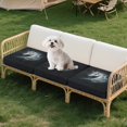 thumbnail image 4 of Xixirimido Couch Cushion Covers 3Pcs Seat Cushion Cover Stretch Couch Cover Separate Sectional Sofa Slipcovers Furniture Protector for Pets & Kids, Horse Black, 4 of 8