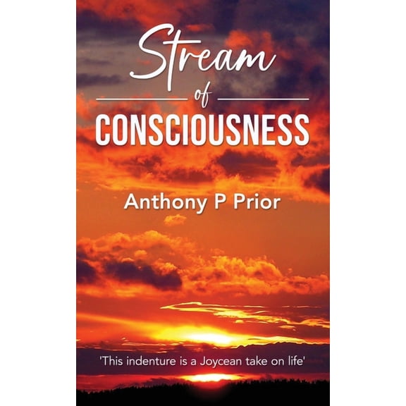 Stream of Consciousness, (Paperback)