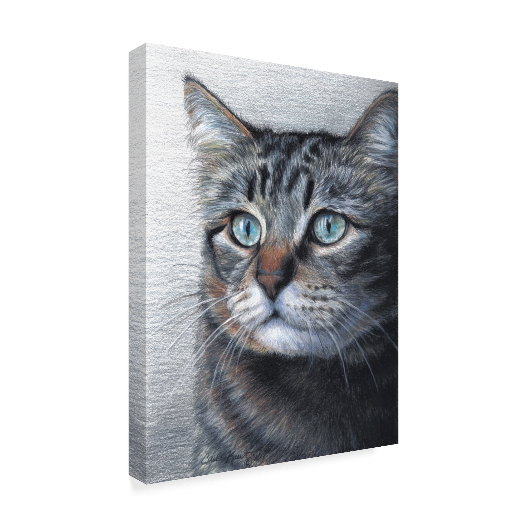 Trademark Fine Art 'Cat Portrait' Canvas Art by Carla Kurt