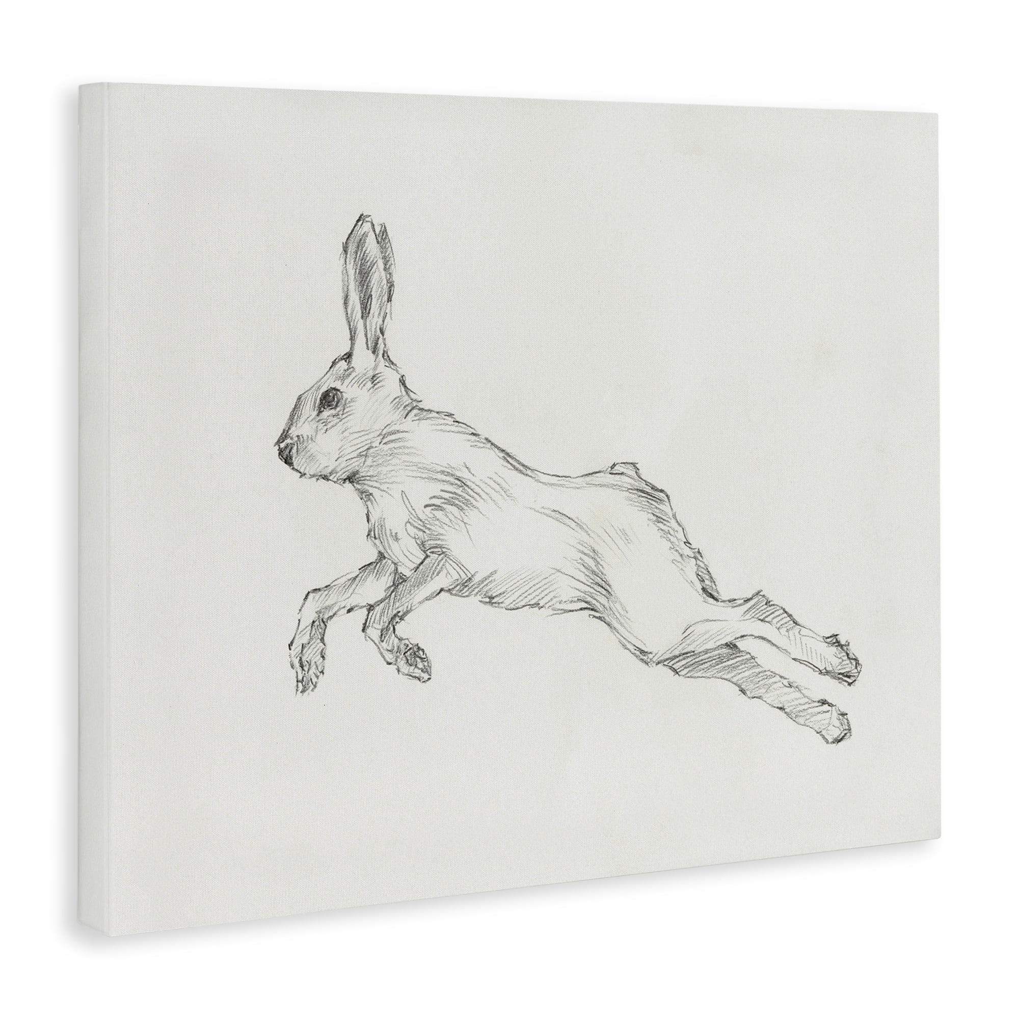 Stupell Industries Rabbit Hopping Sketch Animals & Insects Drawing Gallery Wrapped Canvas Art Print Wall Art, 20 x 16