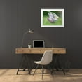 thumbnail image 3 of Bonin, Suzanne 24x19 White Modern Wood Framed Museum Art Print Titled - False Hydrangea, 3 of 4