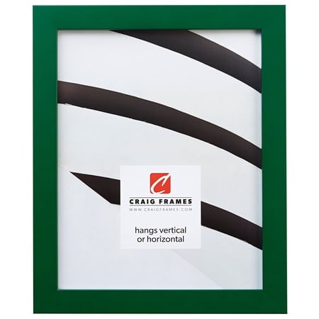 Craig Frames Confetti Modern Green Picture Frame 20 x 27 Inch