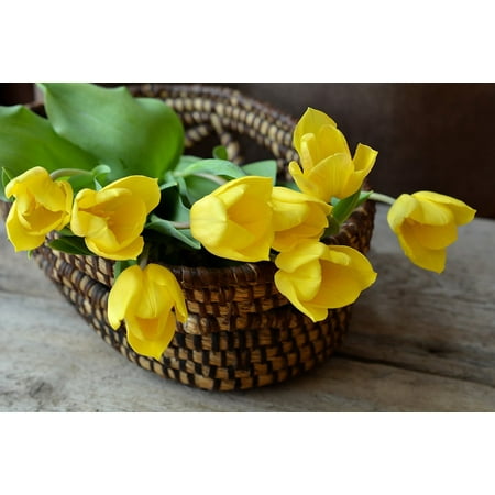 - Framed Art For Your Wall Flower Basket Tulips Flowers Basket Cut Flowers 10x13 Frame