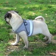 thumbnail image 5 of Vest Harness Leash Adjustable Mesh Vest Dog Harness Collar Chest Strap Leash Harnesses With Traction Rope XS/S/M/L/XL, 5 of 10