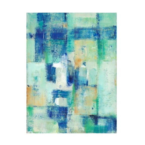 Tim O Toole 'Aerial Vision I' Canvas Art