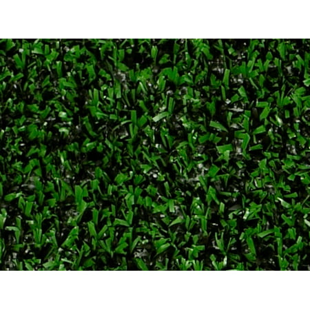 Indoor/Outdoor Holly Leaf Green and Black Artificial Grass Turf Area Rug (Best Grass For Shady Areas In Texas)