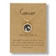 thumbnail image 2 of Xihbxyly Collar de Cadena con Monedas, Elegante Diseño Dorado para Día y Noche, Joyería de Moda para Parejas, Accesorio Llamativo para Fiestas, Bodas y Compromisos, Regalo para Mujer, Estilo Único., 2 of 2