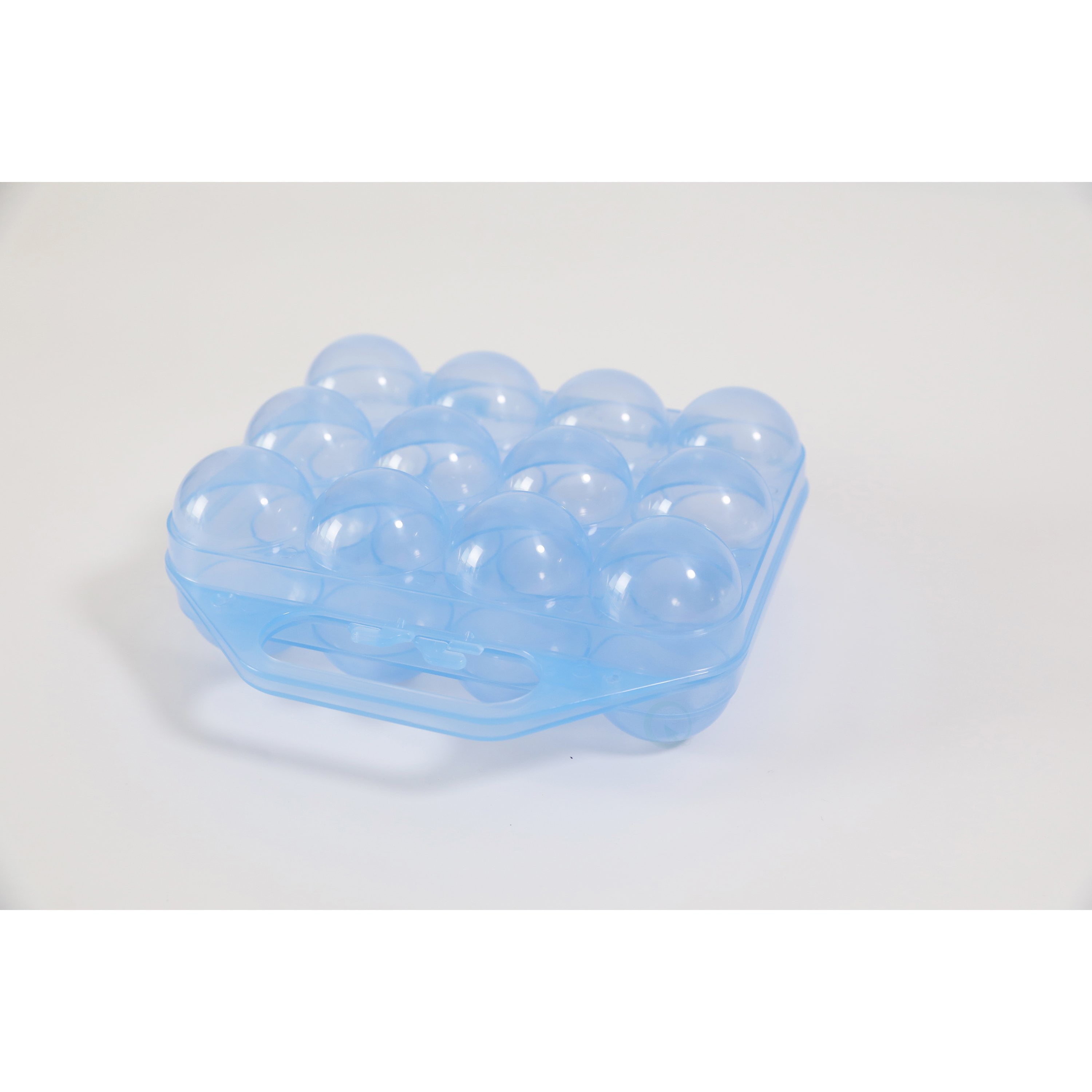 Clear Plastic Egg Carton-12 Egg Holder Carrying Case with Handle