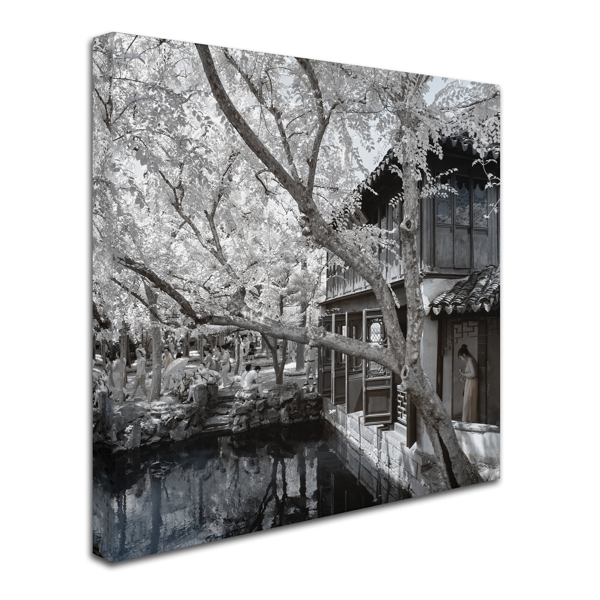 Trademark Fine Art "Reflections" Canvas Art by Philippe Hugonnard
