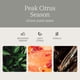 thumbnail image 3 of Ambientador para coche Drift Stone Grove Scent Starter Kit, 3 of 6