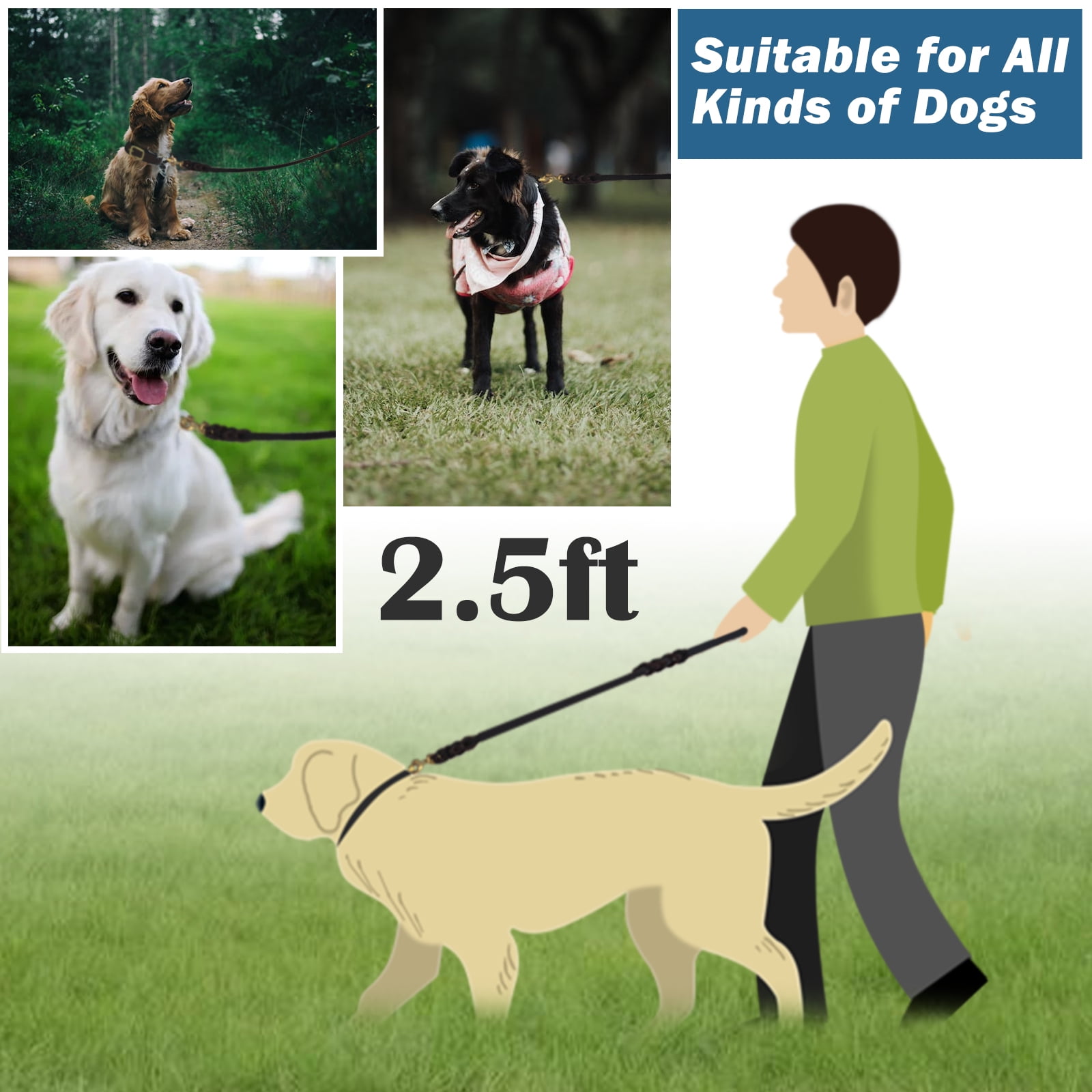 best 4 foot dog leash