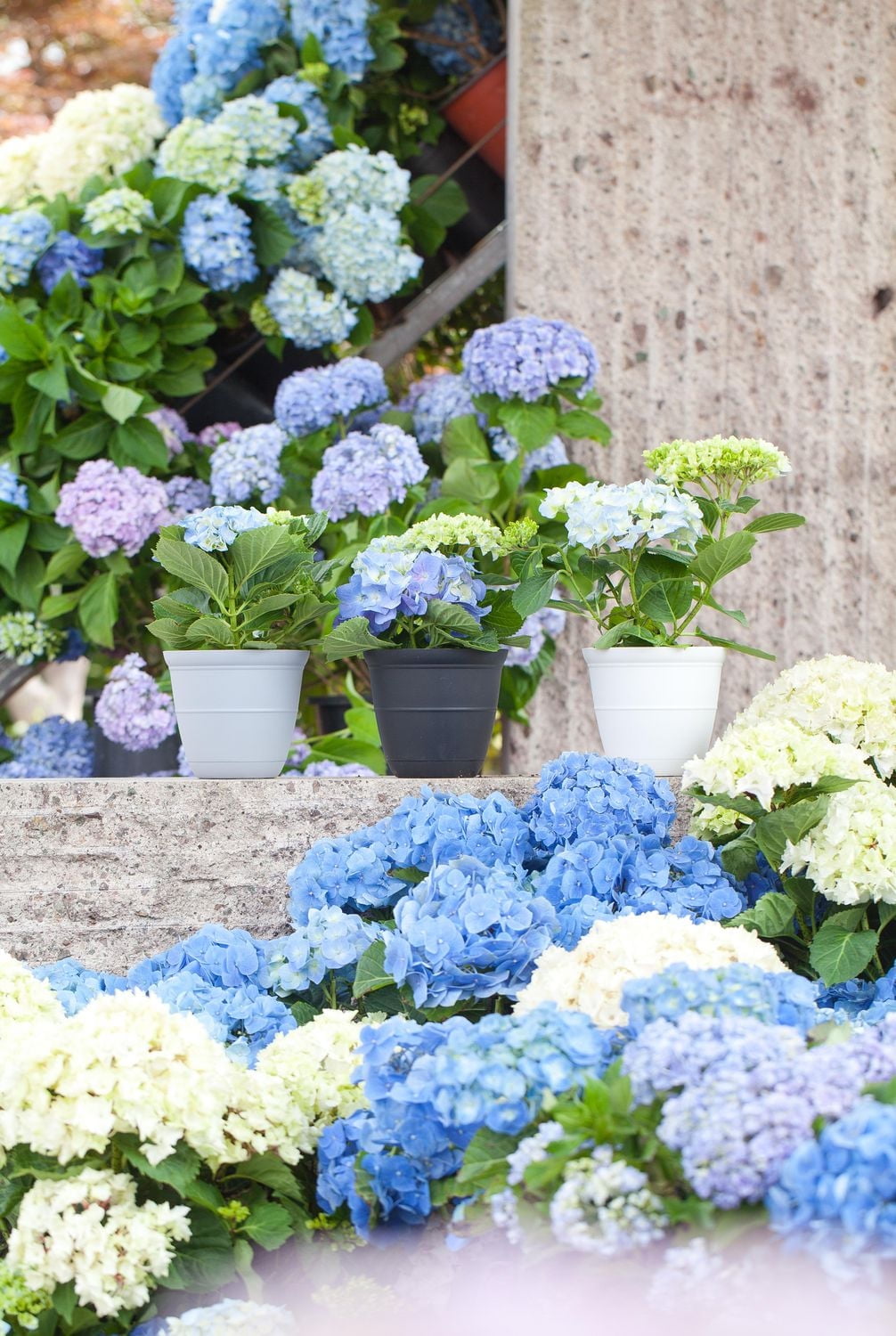 Mainstays Basic bell planter 12 inch White, Classic Design with Attached Tray Durable Weather Resistant, 12" white bottom tray. Durable, lightweight, and weather-resistant.