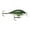 Baby bass, variant on Rapala Scatter Rap 05 Crankbait Fishing Lure 5/16oz Bluegill