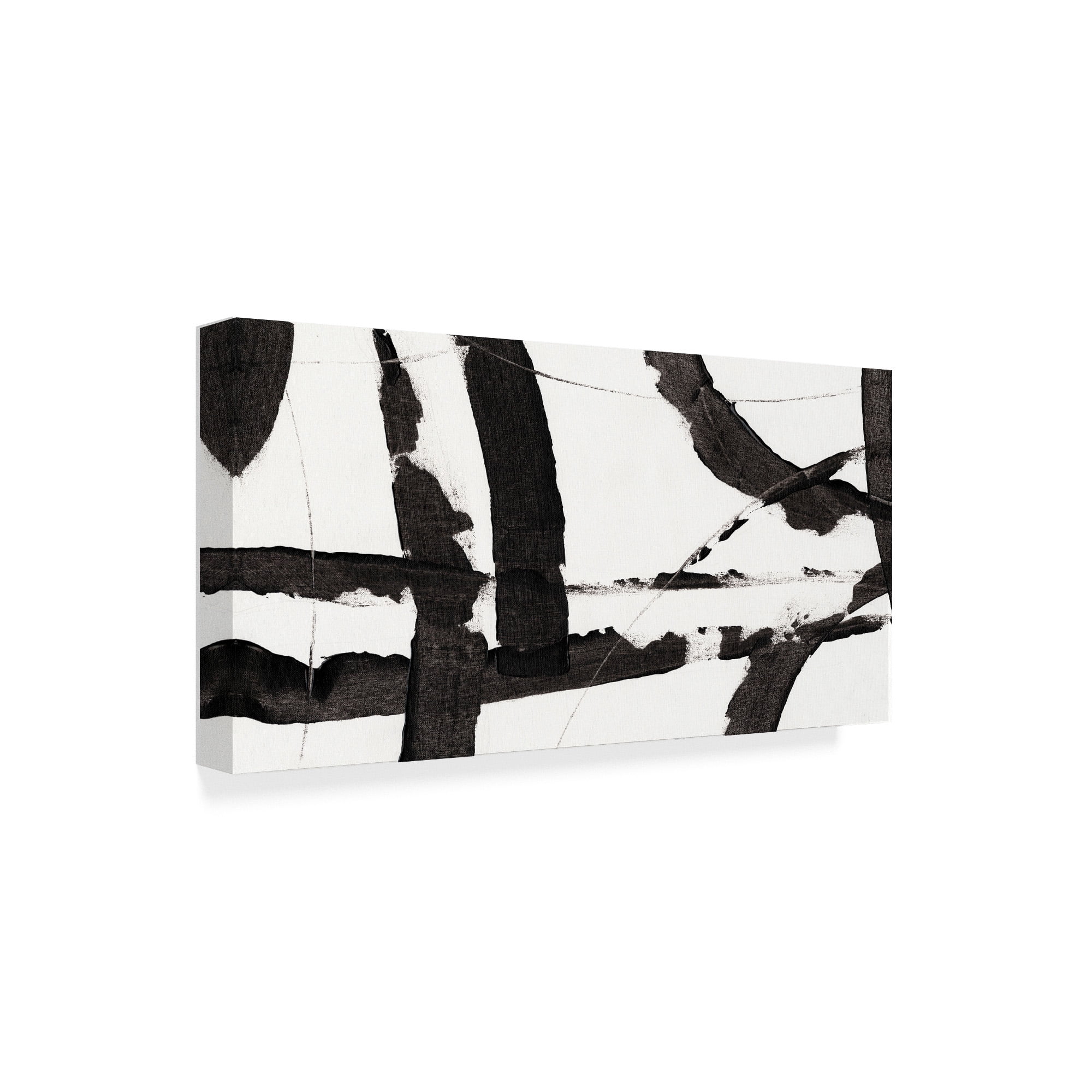 Trademark Fine Art 'Obsidian Harmony I' Canvas Art by Tim OToole