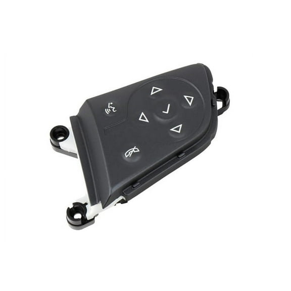 Passenger Side Radio Control Switch