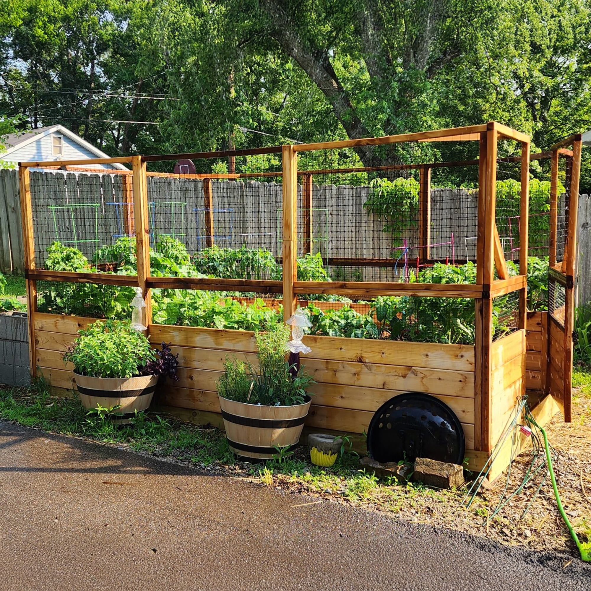 Outdoor Living Today 8x12 Western Red Cedar Raised Garden Bed with Deerfence