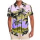 thumbnail image 1 of Mens Casual Manga Corta Botón Abajo Camisas Impresas Bolsillo Turndown Cuello Blusa para Verano Al Aire Libre Casual Uso Diario Hombre Manga Corta Botón Abajo Camisas con Bolsillo, 1 of 6