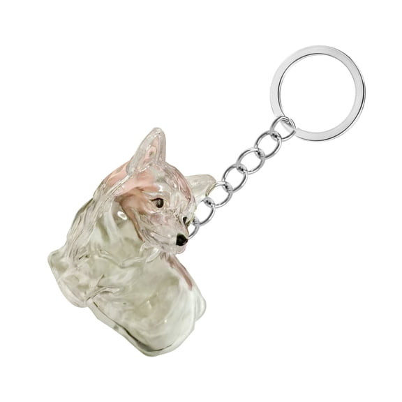 ROZYARD Pet Hair Memorial Storage Box Clear Travel Friendly Keepsakes Case For Owners