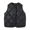 thumbnail image 2 of Toddler Girls Boys Puffer Vest Boys Vest Lightweight Cute Jackets Sleeveless Kids Winter Jacket for Little Girls 3-4 Years, 2 of 6