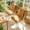 Brown15, variant on Iumwxz High Back Chair Cushion with Straps, Foldable Outdoor Patio Furniture Seat Cushion Made of Polyester Fabric, Water Resistant and Stain Resistant for Chairs, Stools,Porch Swings Indoor Outdoor