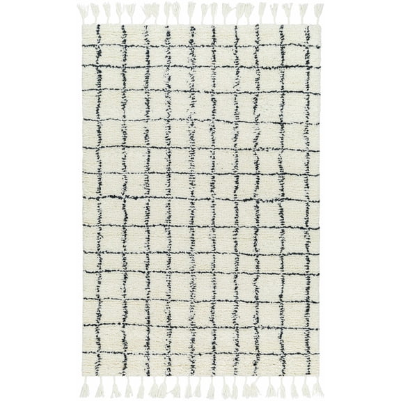 BoutiqueRugs Ivory Checkered Transitional 2x3 Accent Rug Wool Hand Woven Charcoal Solid Bohemian Venya Entryway Bedside Nursery Mudroom Bathroom Powder Room Stain Resistant Non-Shedding Pet Friendly