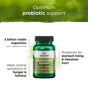 Swanson Lactobacillus Gasseri Probiotic, Digestive Health & Metabolism Support, 3 Billion CFU, 60 Veggie Capsules