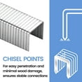 thumbnail image 5 of 10 Packs MEITE T-50 Staples for Staple Gun, 1/4 Inch Length Heavy Duty Staples, Galvanized, 20 Gauge 3/8 Inch Crown, 5 of 7