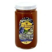 Blueberry Blossom Honey by Welsh Mountain Apiaries, Raw and Unfiltered, Wild Foraged Honey, 16 Ounce Jar Pack of 3
