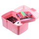 thumbnail image 1 of Plastic Storage Box with Removable Tray Nail Polish Carrying Case Multipurpose Organizer Storage Case for Nail Art Craft Cosmetic, 1 of 5
