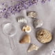 thumbnail image 1 of 7 Piezas Muestras De Minerales Fósiles Y Rocas De Colección Con Caja De Almacenamiento, De Para Adultos Hugo Colección Rock y Mineral, 1 of 10