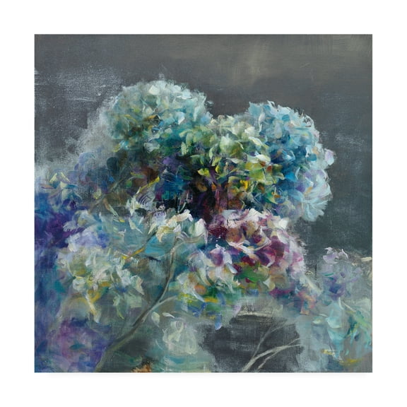 Trademark Fine Art 'Abstract Hydrangea Dark' Canvas Art by Danhui Nai