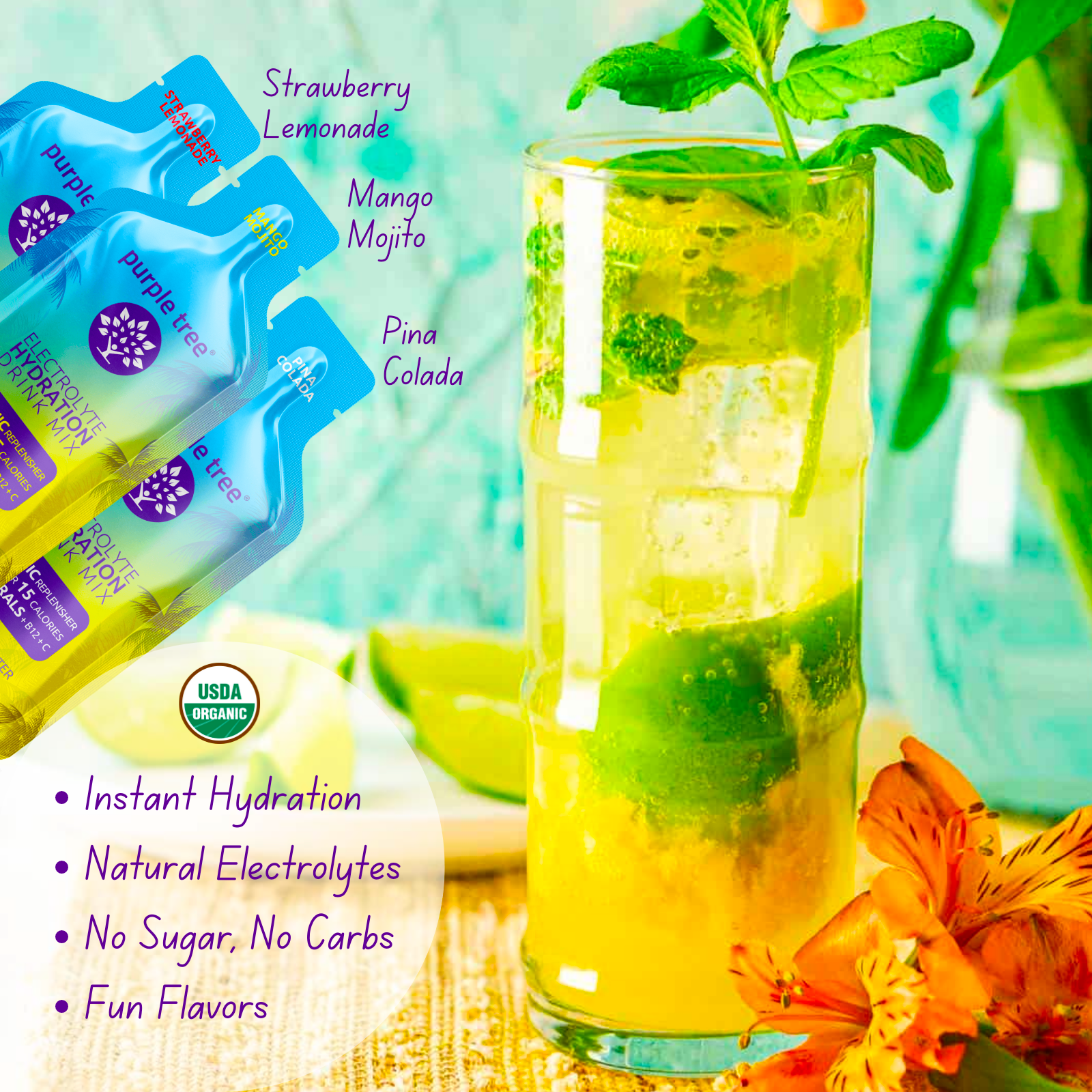 Purple Tree Organic Electrolyte Hydration Packets, Pina Colada - 5-Pack Hydrating Liquid Sticks