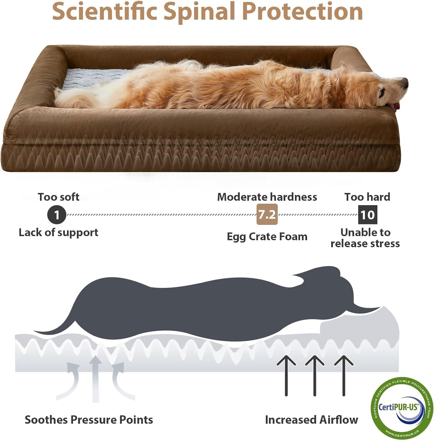 EP XXL Extra Large Dog Bed, Washable Dog Couch with Removable Waterproof Cover, Orthopedic Large Pet Sofa Bed with Bolster Sides for Sleeping