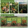 thumbnail image 5 of KORALAKIRI Plant Protector from Animals, Plant Cages for Outdoor Plants, Metal  Wire Mesh Garden Protection Animal Barrier to Keep Flower Vegetables from Rabbit Chicken, 5 of 8