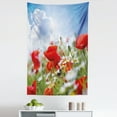 thumbnail image 1 of Country Tapestry, Idyllic Spring Meadow Poppy and Daisy Flowers Sunny Air Clouds Garden Design, Fabric Wall Hanging Decor for Bedroom Living Room Dorm, 5 Sizes, Multicolor, by Ambesonne, 1 of 1