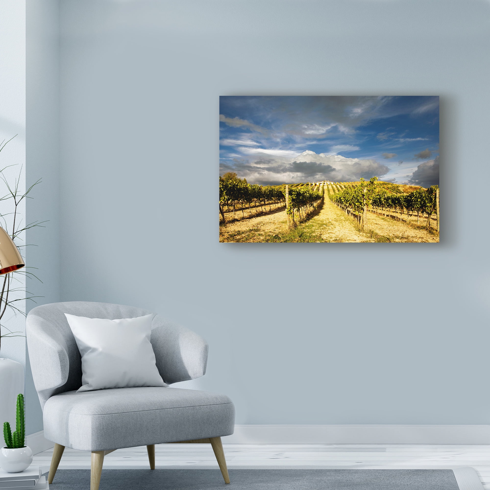 Trademark Fine Art 'Rustic Italy 7' Canvas Art by Maciej Duczynski