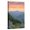 Canvas, variant on Art.com North Carolina - Bear and Cubs with Spring Flowers Stretched Canvas Print Wall Art by Lantern Press, 24" x 36"