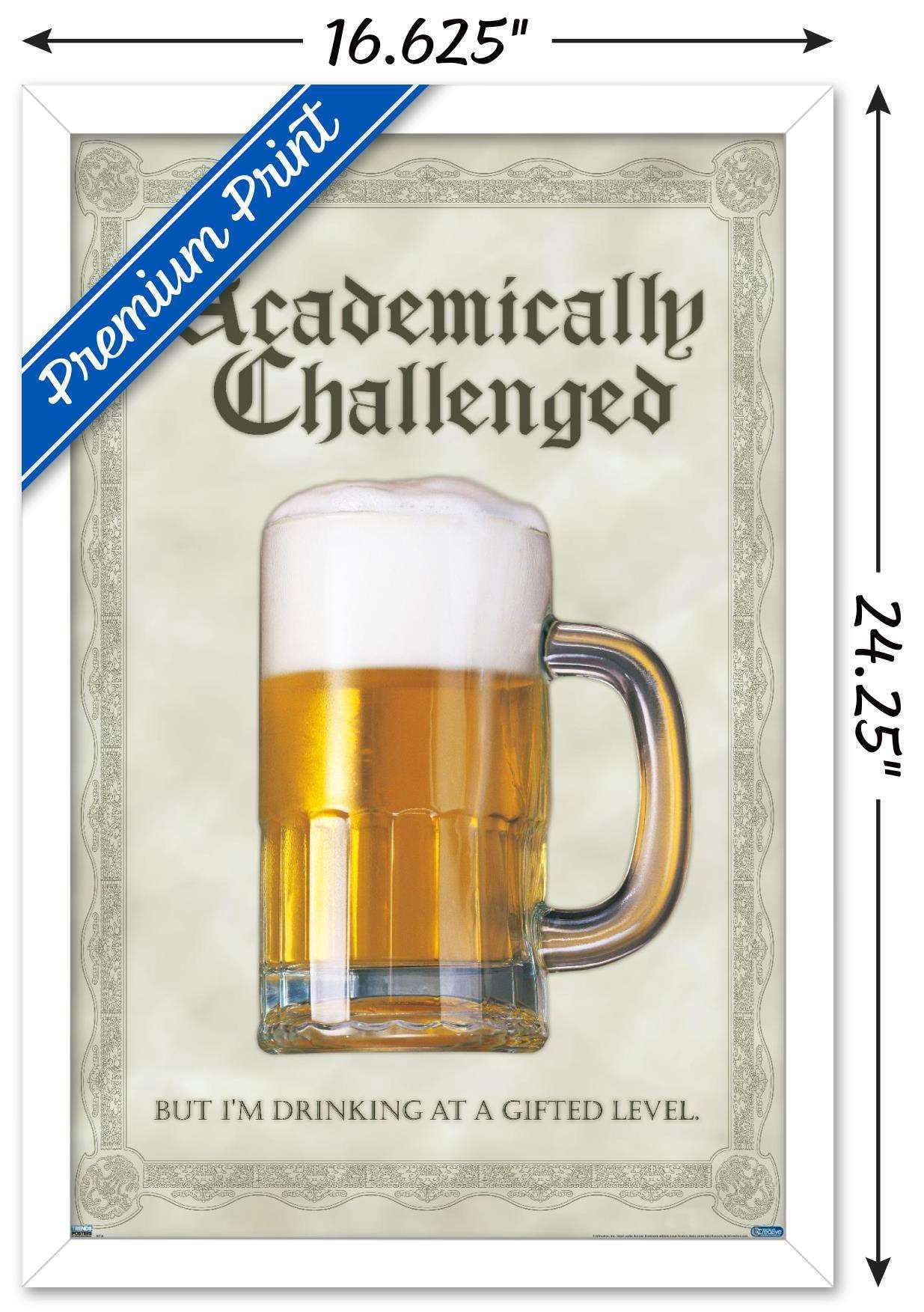 Academically Challenged Wall Poster, 14.725" x 22.375", Framed