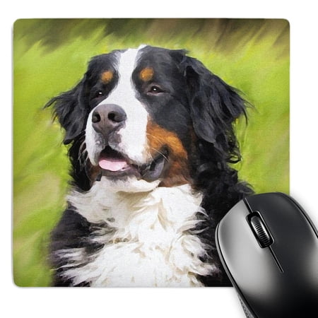 3dRose  Bernese Mountain Dog  MousePad price history on PriceWatchPro
