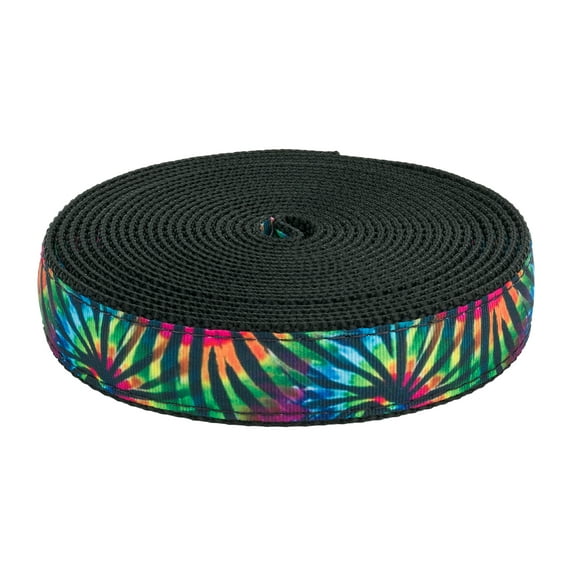 Country Brook Design® 3/4 inch Tie Dye Stripes Ribbon on Black Nylon Webbing, 10 Yards