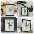 thumbnail image 2 of Storage Photo Frame Decorations Specimen Box The Weddin Picture Frames 16x20 Butterflies Case Pcs, 2 of 6