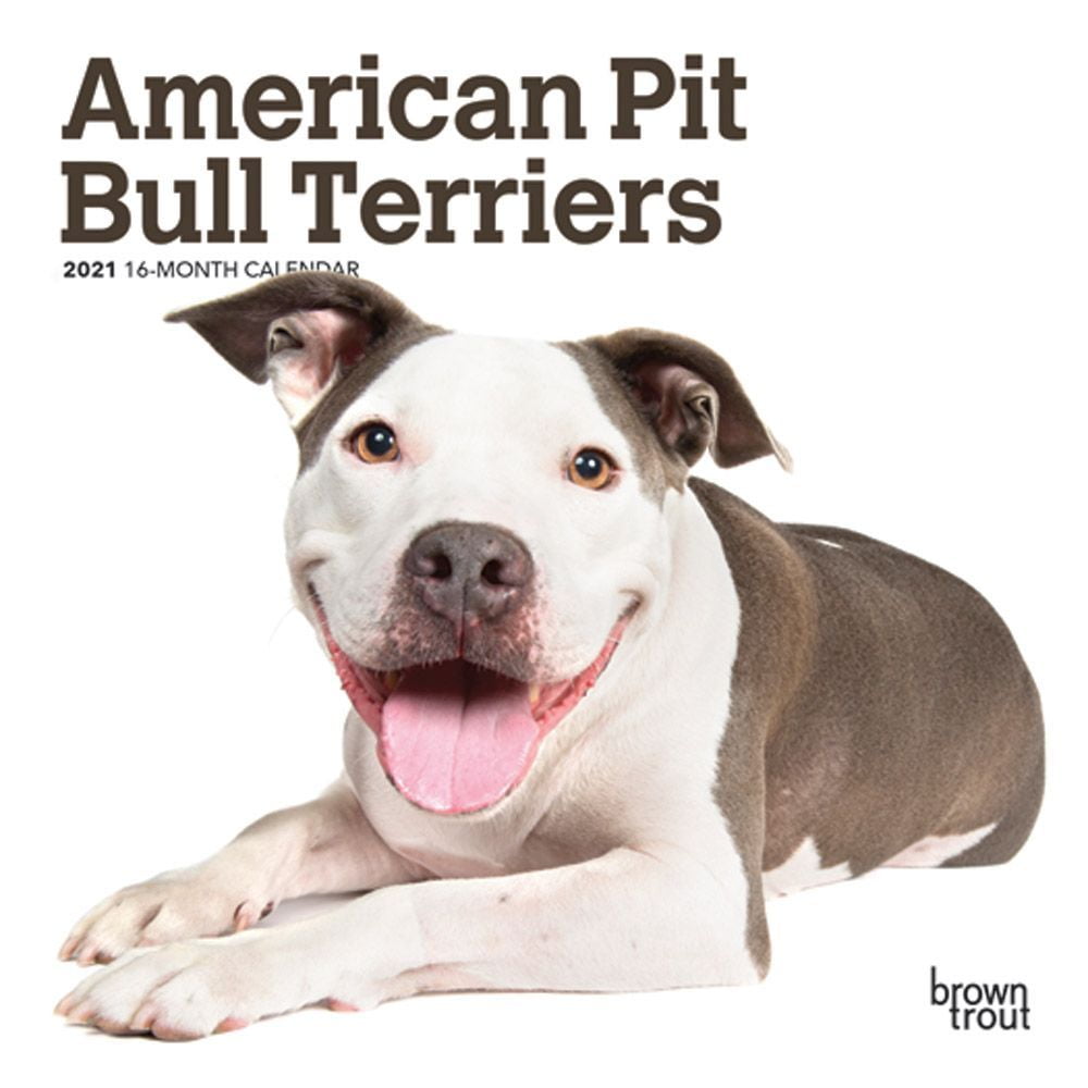 American Pit Bull Terriers Mini Wall Calendar