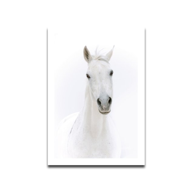 Caballo blanco pintura al óleo lienzo póster impresión HD animales artísticos cuadro de pared sin marco sala de estar dibujo al óleo Vogacara JJ11742-01