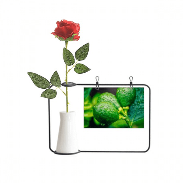 Frutas frescas lemon Foto fotografia Botella de decoración de jarrones colgantes de flores rosas artificiales