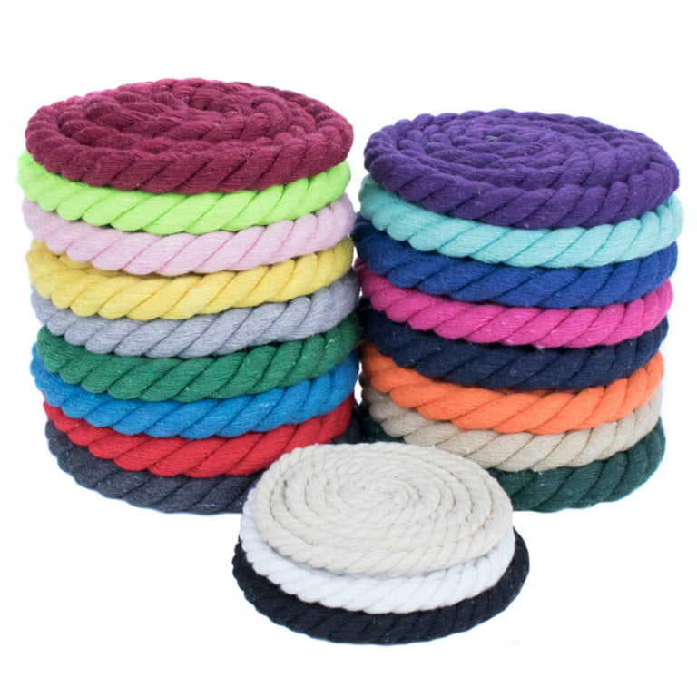 Zesty 550lb Survival Paracord Random Combo Crafting Kit by West Coast  Paracord - 10 Colors of 500lb Cord & 10 FREE buckles - Type III Paracord -  Make 10 Paracord bracelets-Great Gift 
