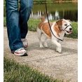 thumbnail image 2 of Pet Walking Dog Explosion-proof Punching Control Dog Collar Training Habit Anti-barking Mouth Biting Cover Mask Mouth Cage, 2 of 3