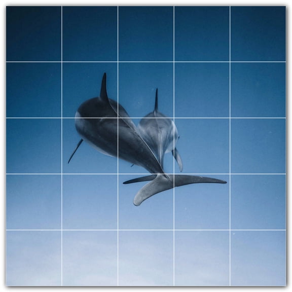 Picture-Tiles.com: Dolphin Ceramic Tile Wall Mural WAL500516-55M. 30"W x 30"H using (25) 6" x 6" Ceramic Tiles-Satin Finish